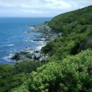 furthest south