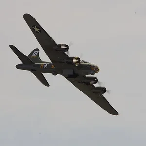 IMGP0448 sally B