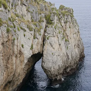 natural door