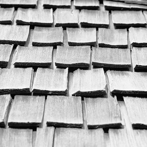 Shingles.webp