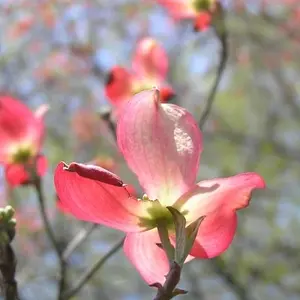08FebPhoto03