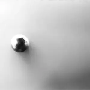 08MarchPhoto53-Point 2006