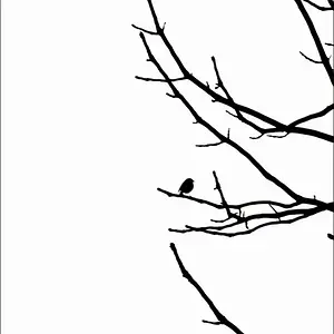 08MarchPhoto62-winter melody