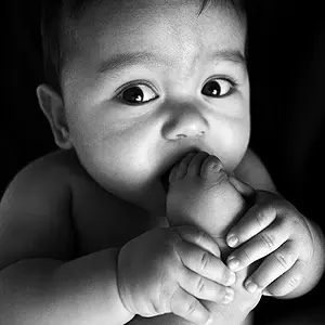8598_BW-web