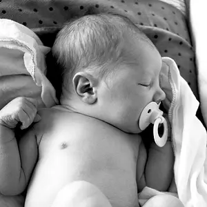 951-0601-bw-web