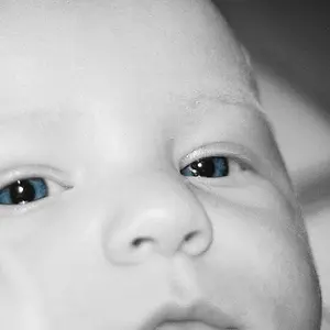 Oct08Photo02-blue eye