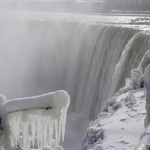 feb09photo14 - Frozen Branches at Niagara Falls