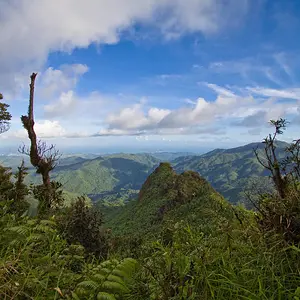 El Yunque