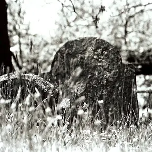 Walnut Cemetary B&W