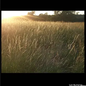 Examples of photographer's work
