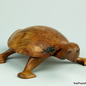 Carved turtle box