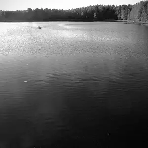 Rower
