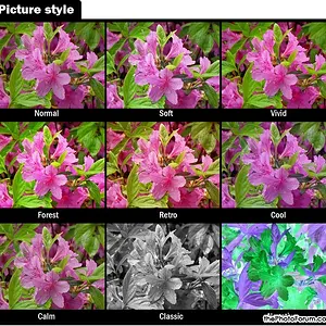 Nine different mode