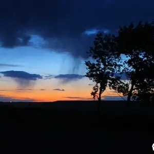 0083