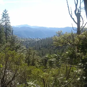 Yosemite Hills