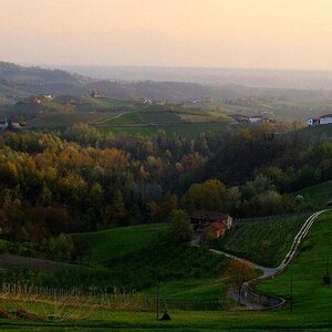 landscape of "Langhe" (Piedmont hills)