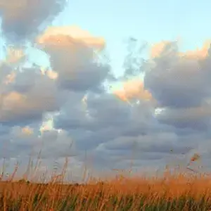 Cloudscapes