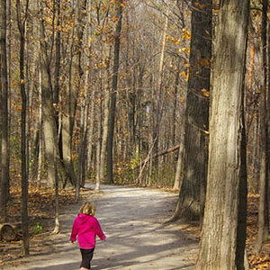 My daughter in the forest