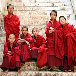 Novices