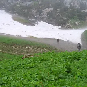 from the mountain II