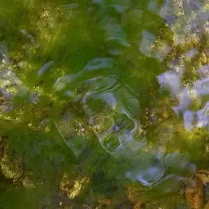 abstract_1