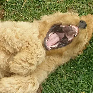 Ahh...