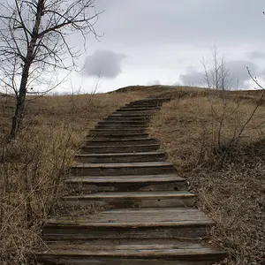 Jacobs Ladder