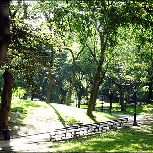 Central Park 02