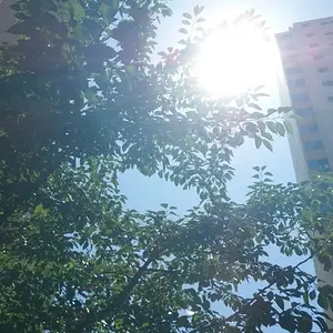 Summer
