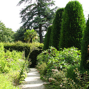 Hidcote_Manor_Gardens_166_