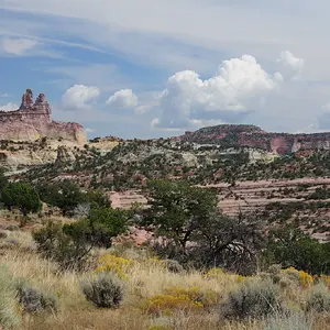 New Mexico