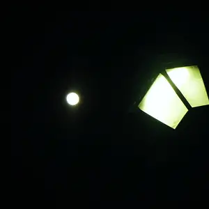 Night Lights