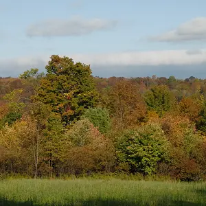 Lake Wanoka