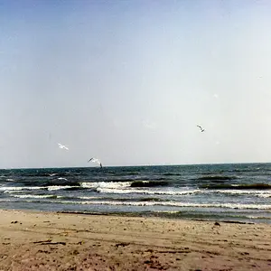 img083