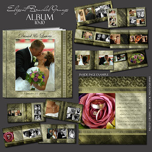 Digital Photo Albums