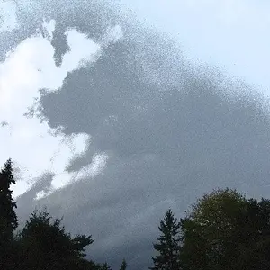 Late Summer Sky