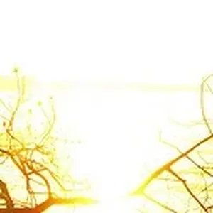 2562687013_f8e27b0bab_m