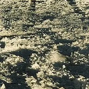 3134219265_60eb3fc093_m