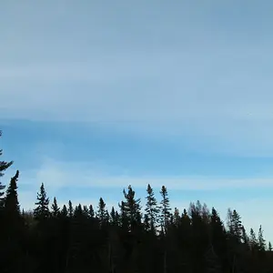 Nature 2009