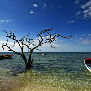 Jamaica treasure beach