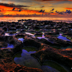 ocean-reef-park-singer-island-florida-beach-sunrise