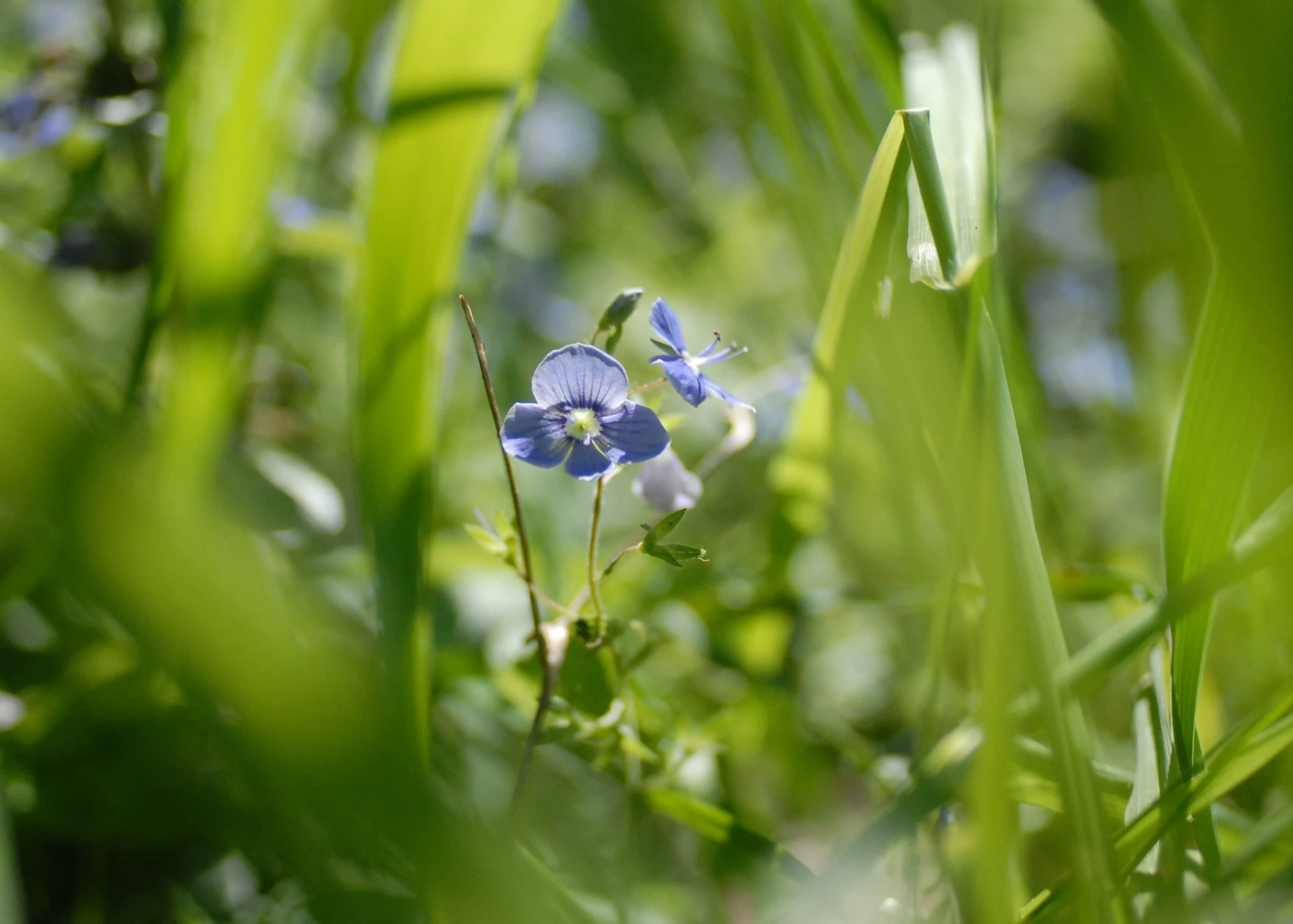034_edited-1