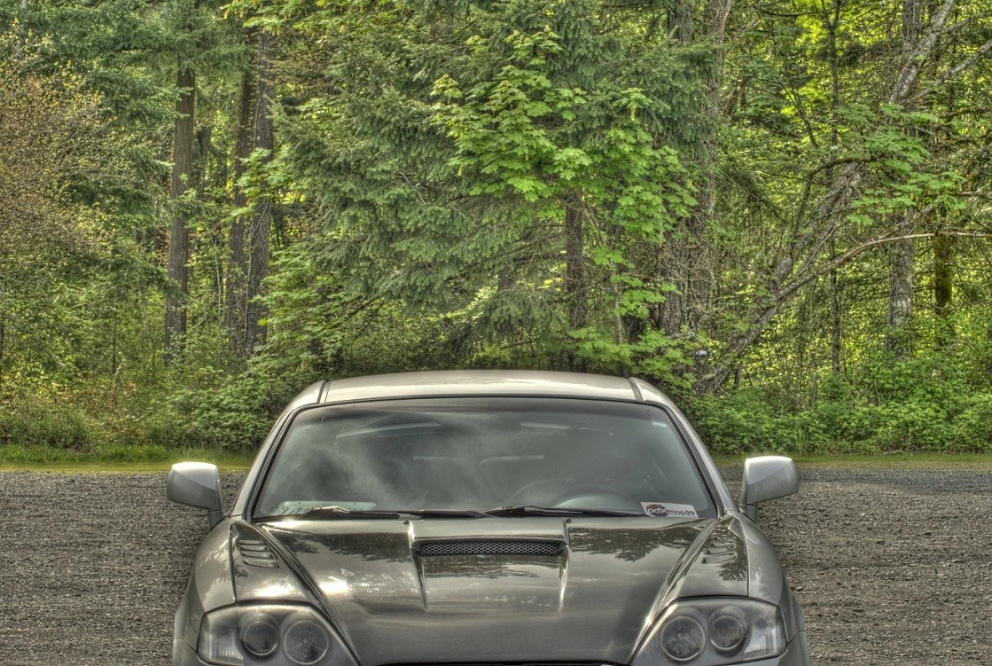 04 Tiburon
