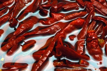 06decphoto06-Chillies in water