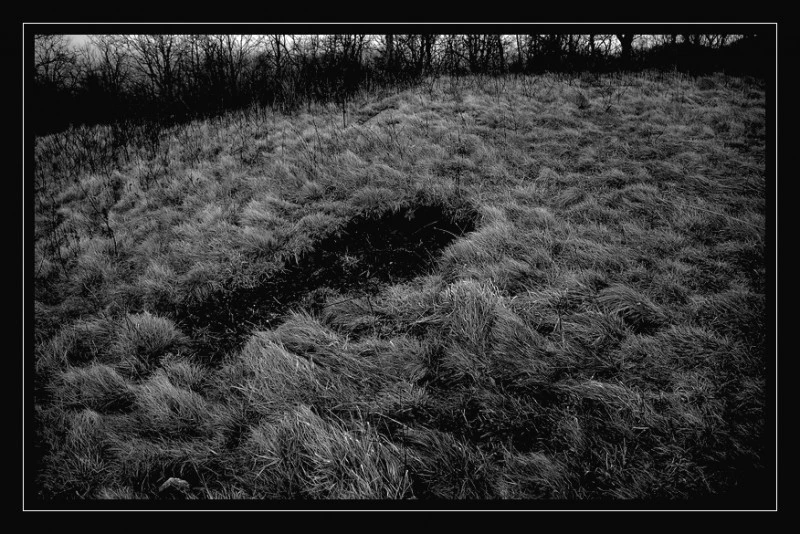 10847-DSC_2867re
