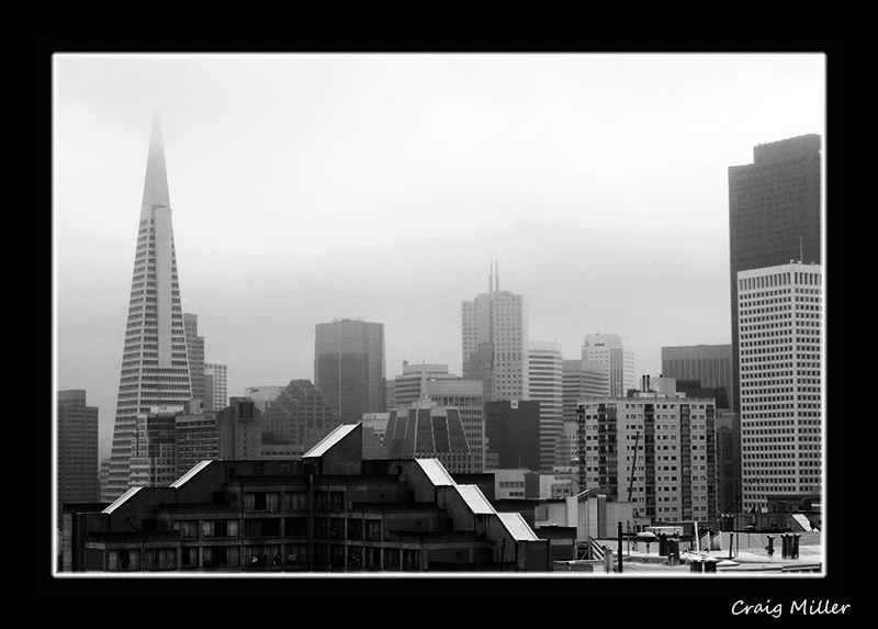 14921-PICT0008