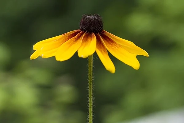 1846-CRW_7839-web