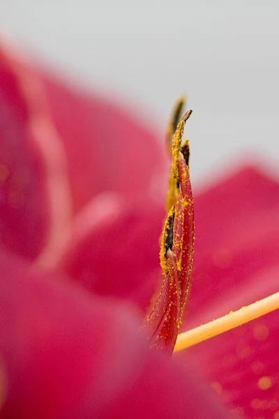 1846-CRW_7867-web