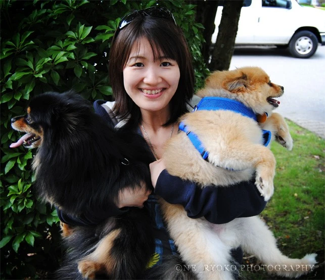2 pomeranians