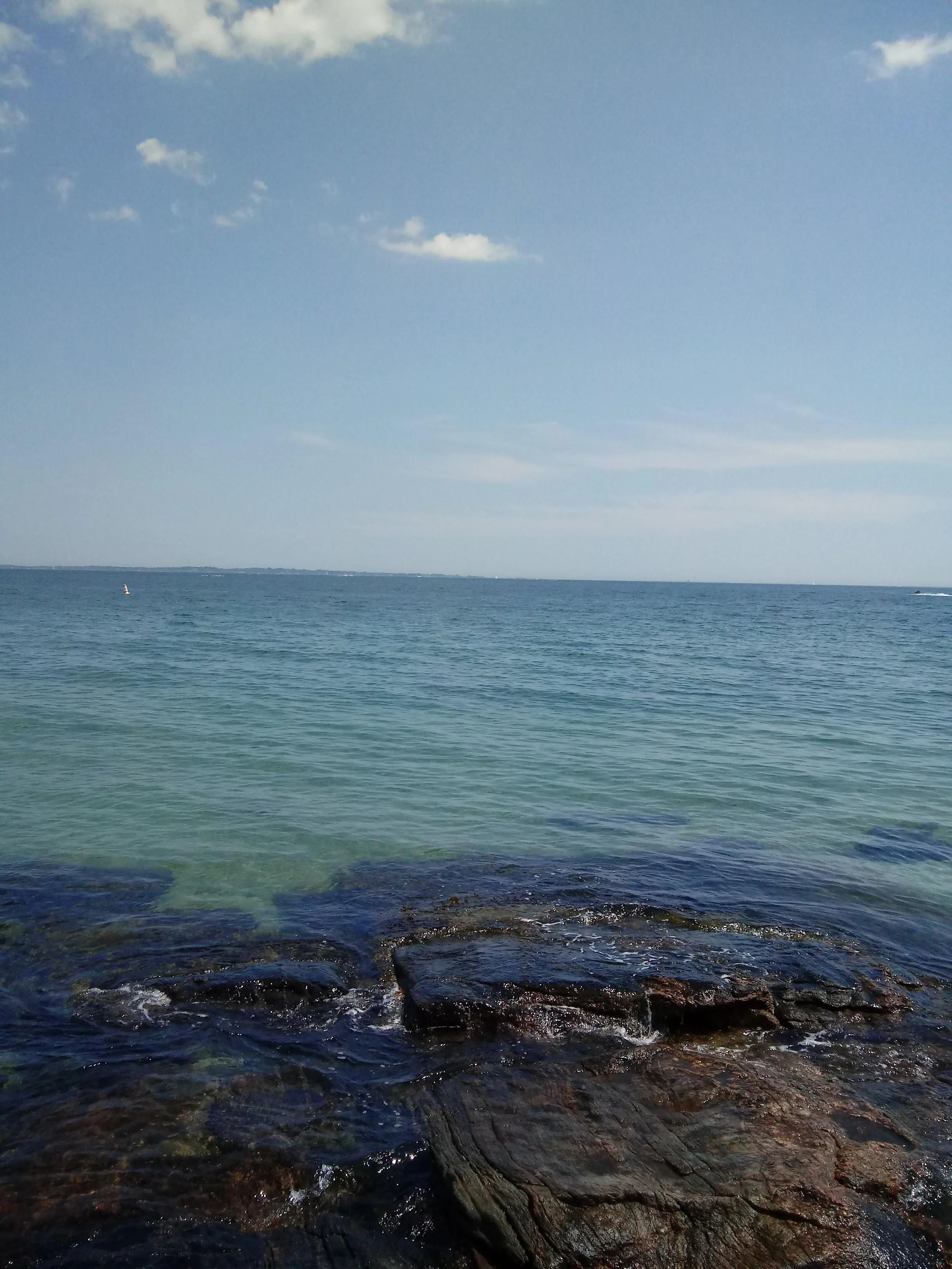 20190804_141301.jpg